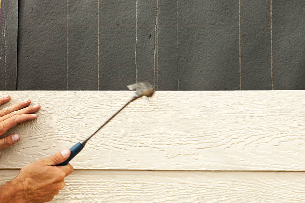 Best Historical Building Siding Restoration  in Morenci, MI